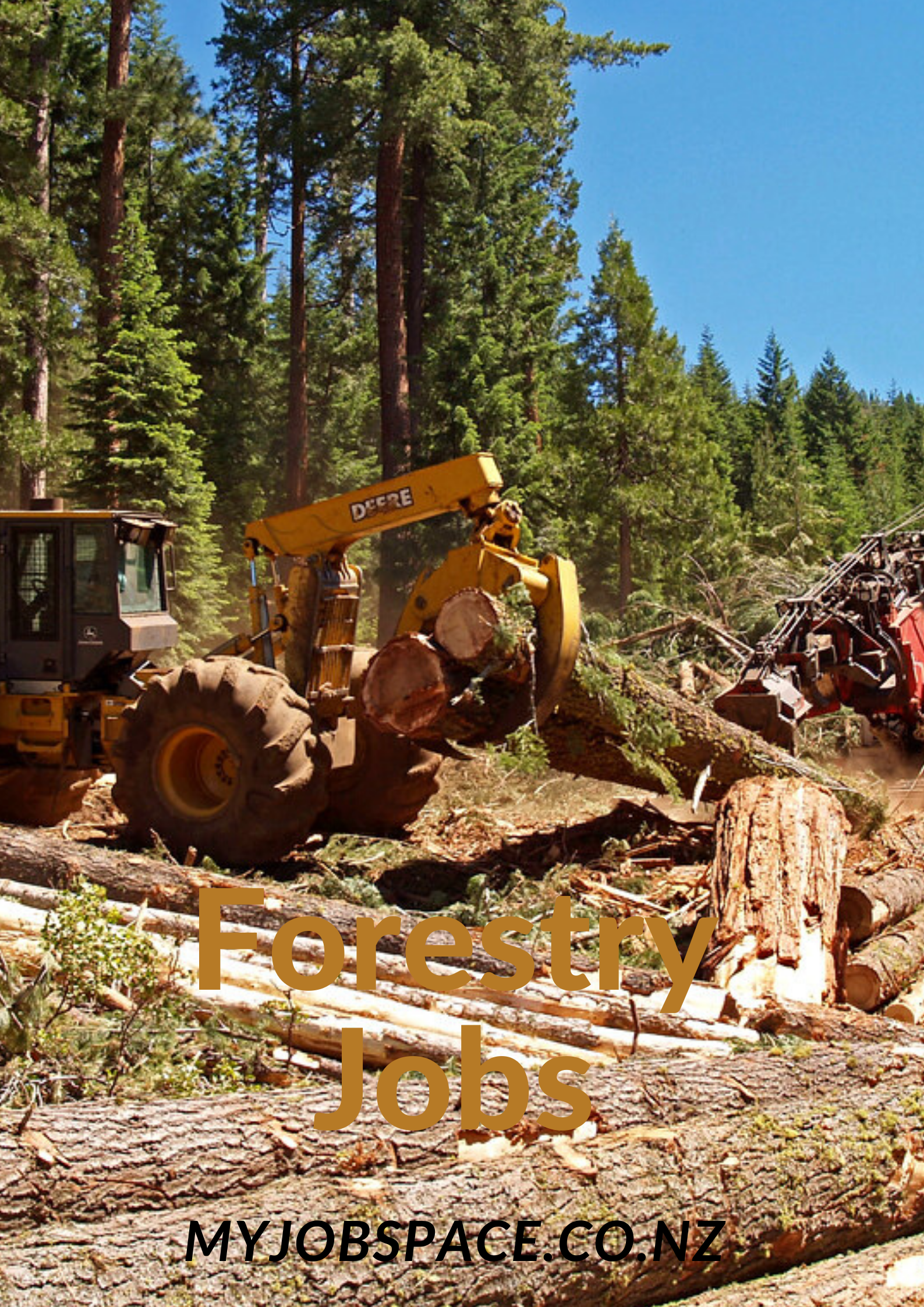 Forestry Jobs