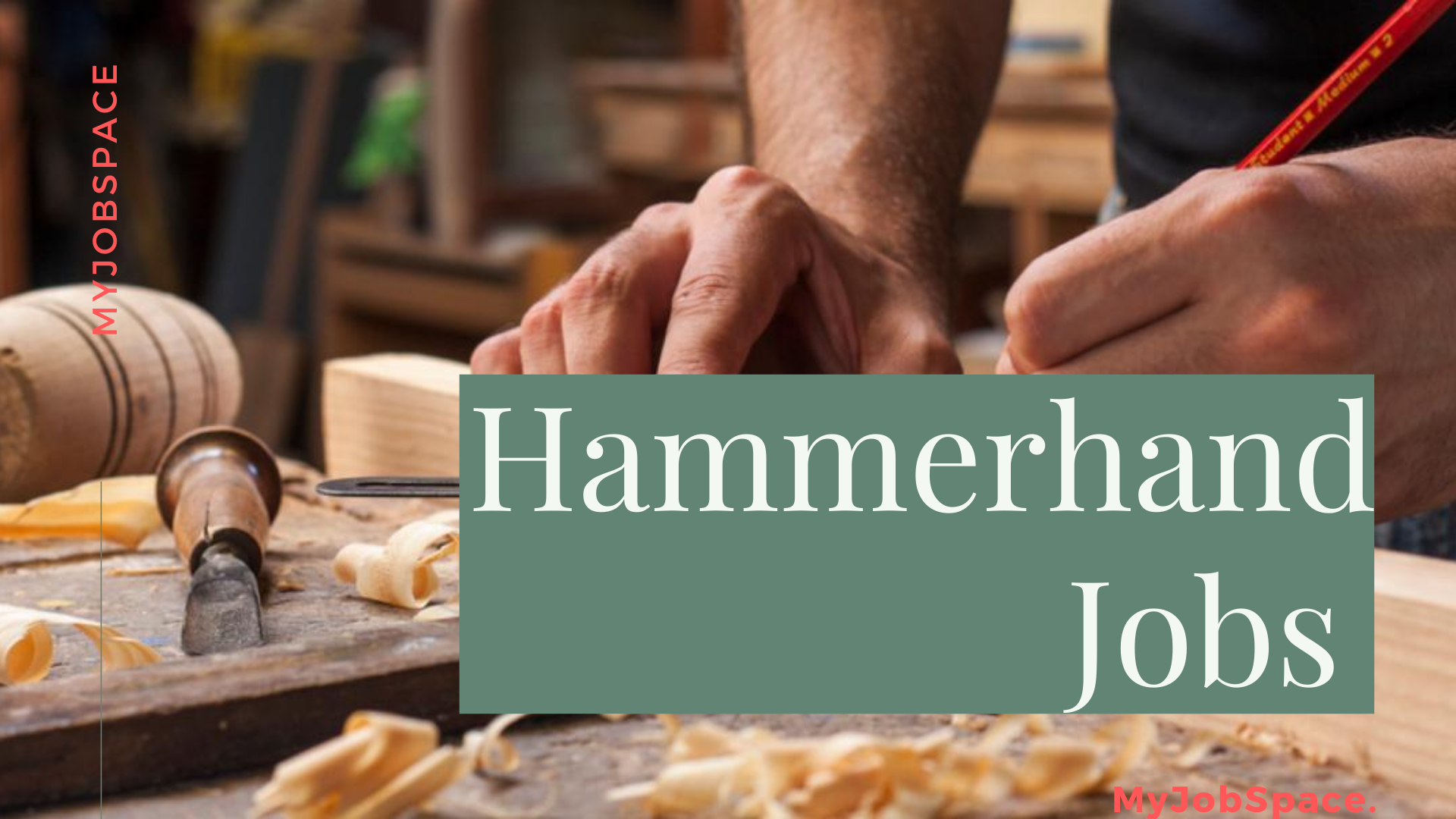 hammerhand jobs in New Zealand